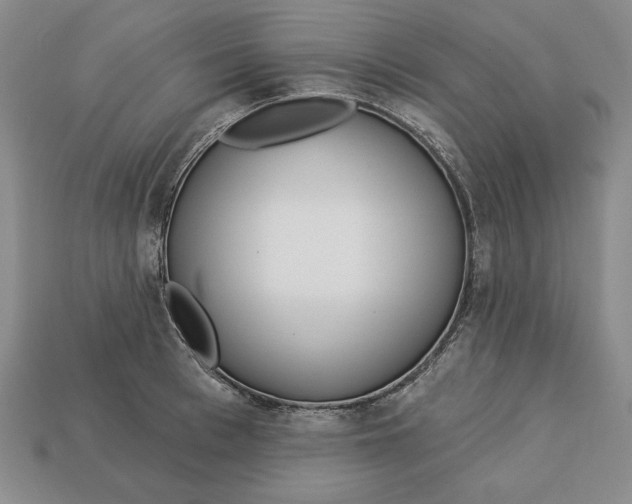 X0000112760993200909101526