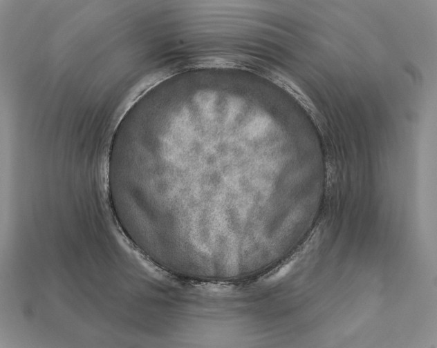 X0000112760994200909101526