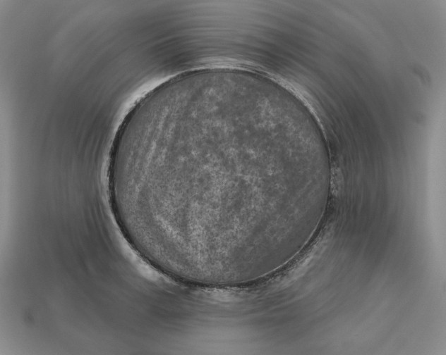 X0000112760995200909101526