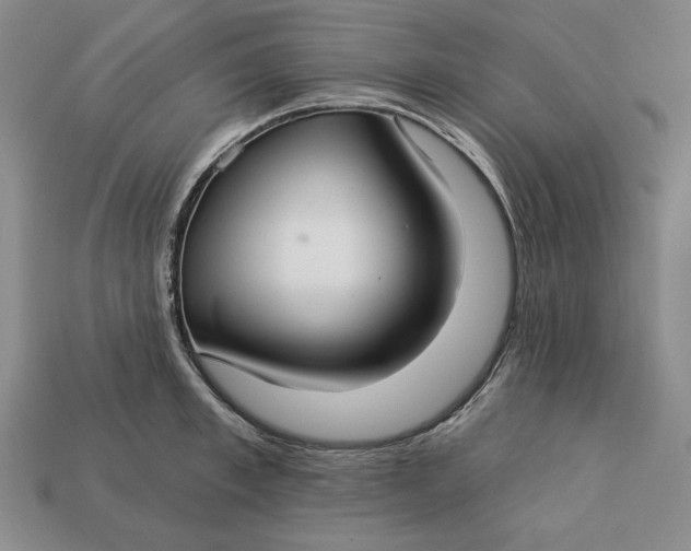 X0000112760997200909101526