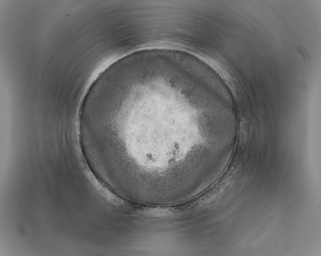 X0000112760998200909101526
