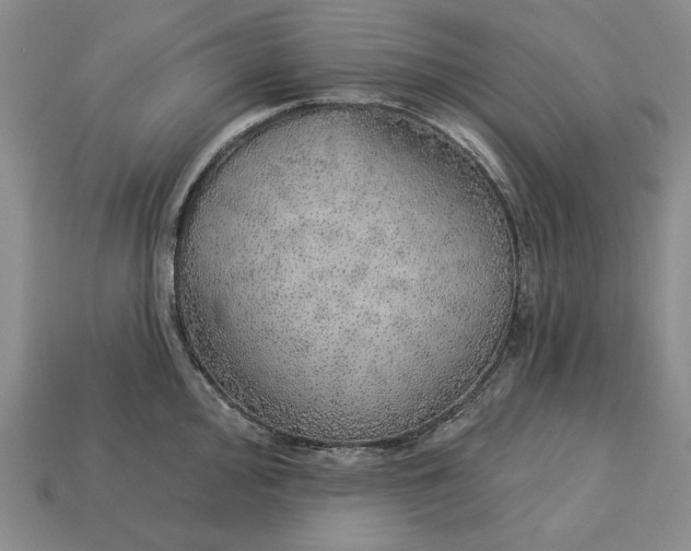 X0000112761000200909101526