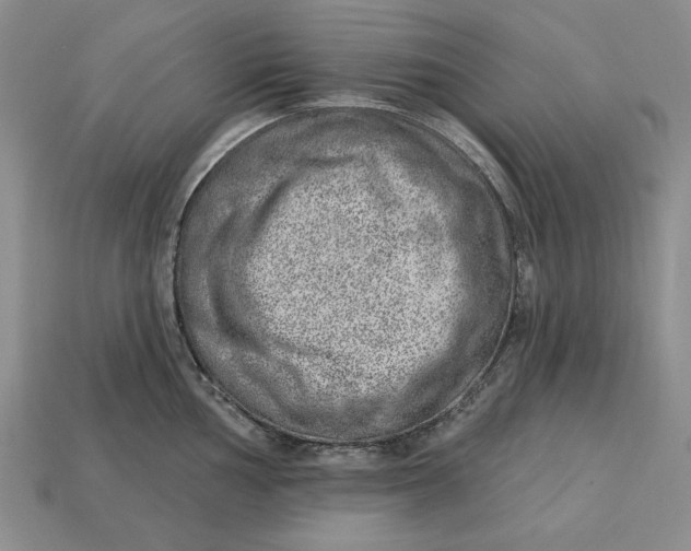 X0000112761002200909101526