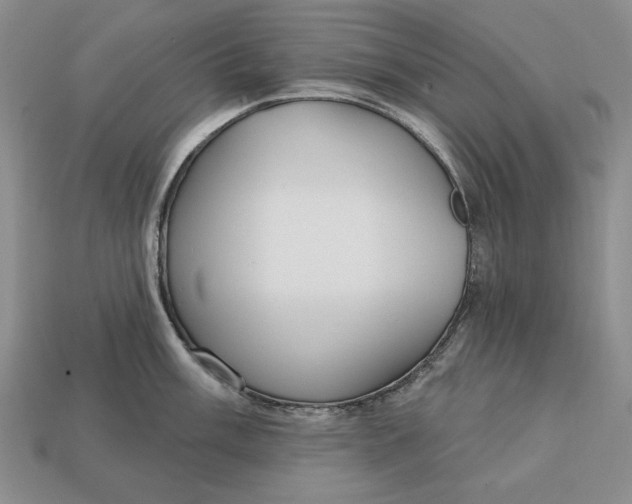 X0000112761003200909101526