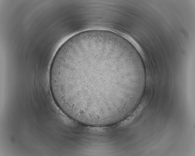 X0000112761004200909101526