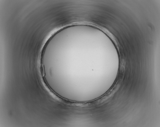 X0000112761005200909101526
