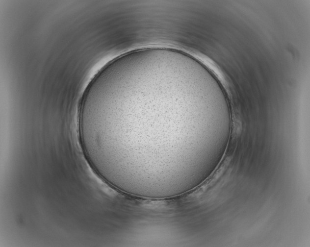 X0000112761006200909101526