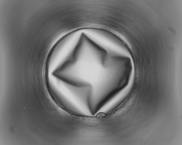 X0000112761007200909101526