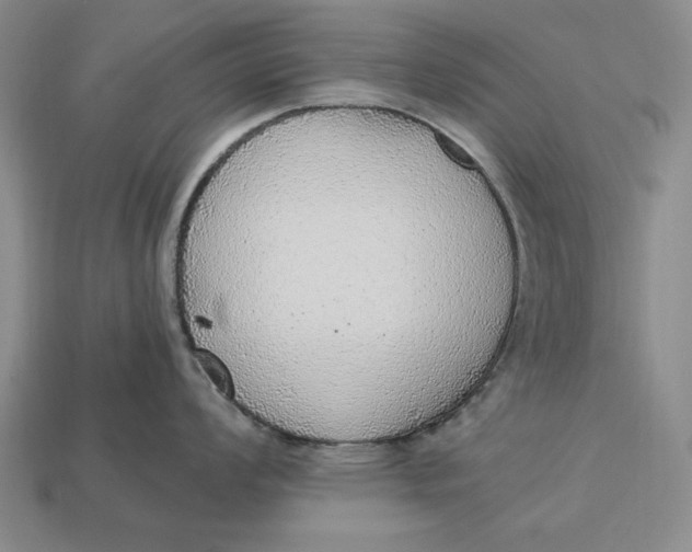 X0000112761008200909101526