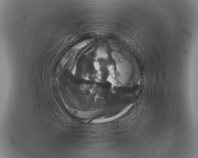 X0000112761009200909101526