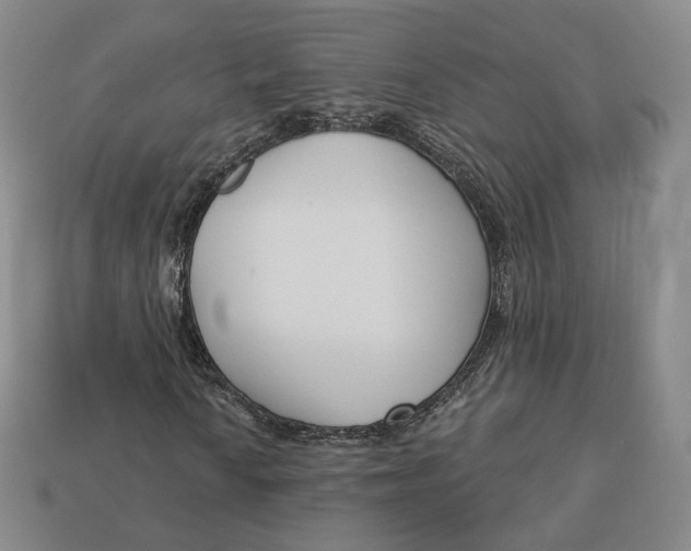 X0000112761010200909101526