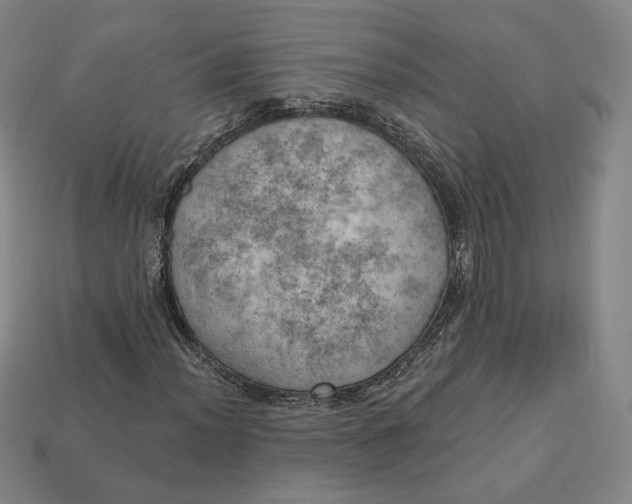 X0000112761012200909101526
