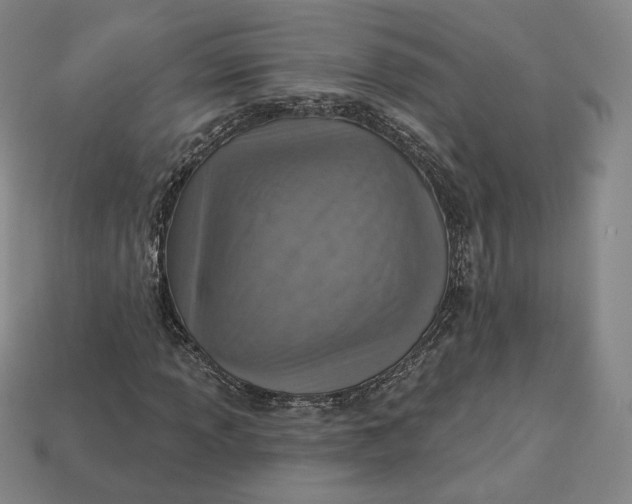 X0000112761013200909101526