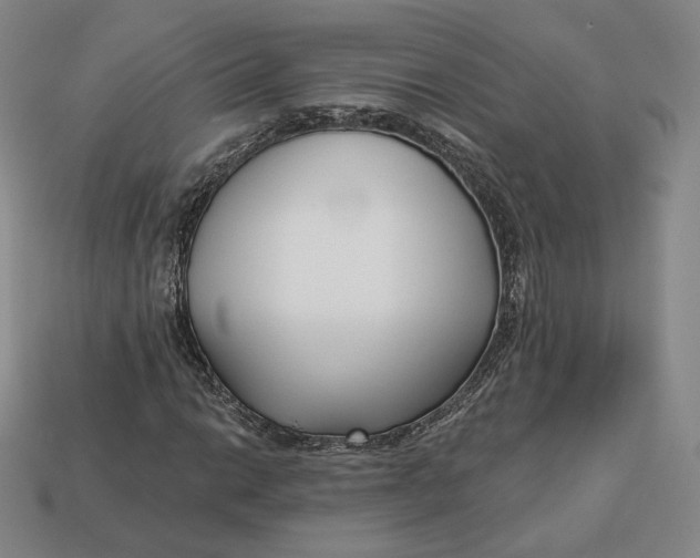 X0000112761014200909101526
