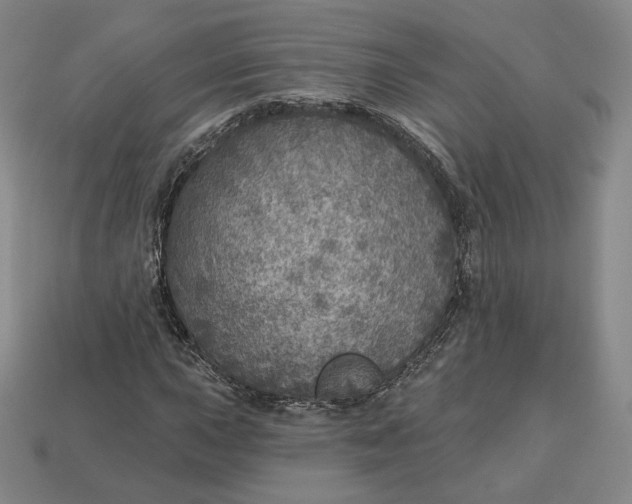 X0000112761015200909101526