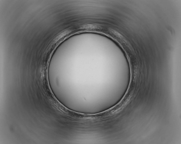 X0000112761017200909101526