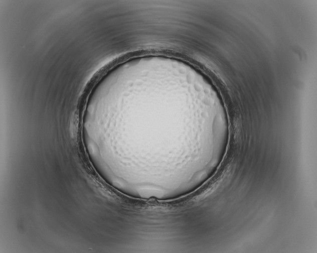 X0000112761021200909101526