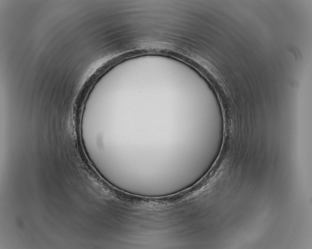 X0000112761022200909101526
