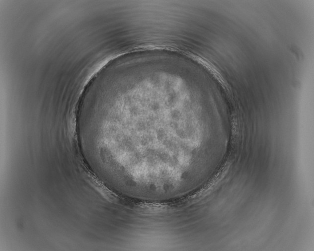 X0000112761023200909101526