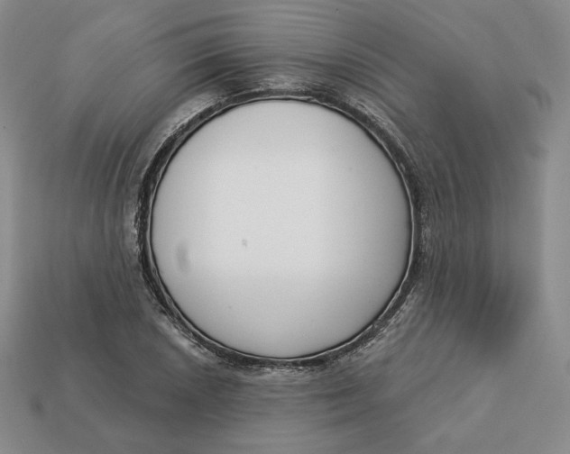 X0000112761026200909101526