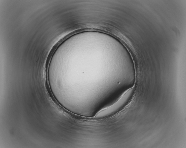 X0000112761028200909101526