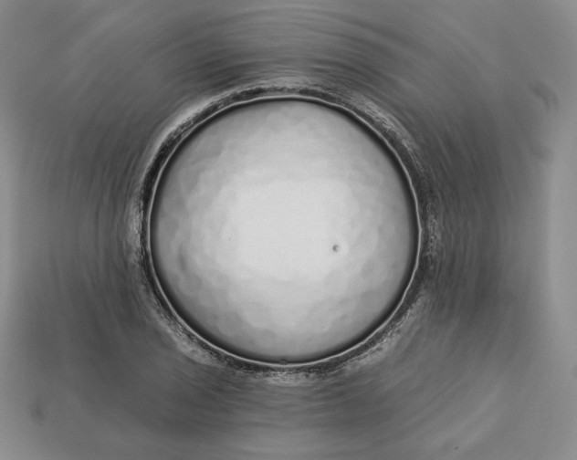 X0000112761029200909101526