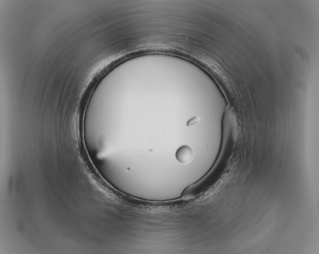 X0000112761030200909101526