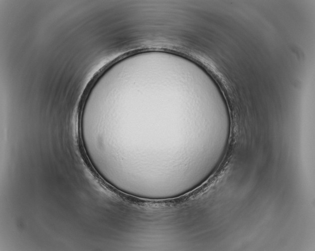 X0000112761032200909101526