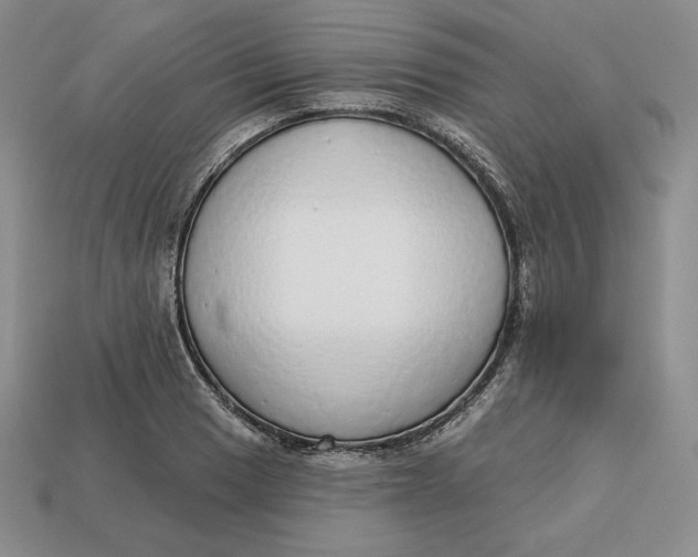 X0000112761033200909101526