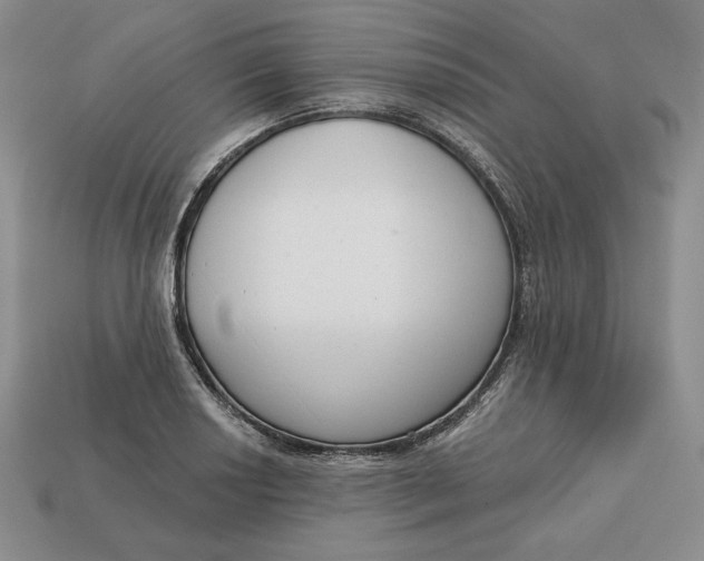 X0000112761034200909101526