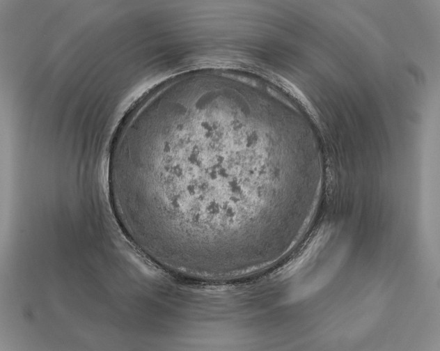X0000112761035200909101526