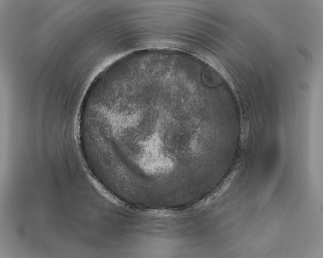 X0000112761037200909101526