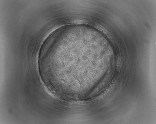 X0000112761039200909101526