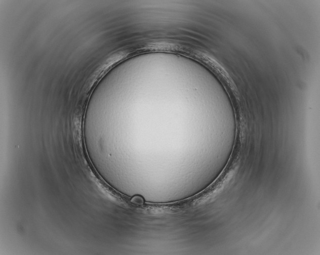 X0000112761041200909101526