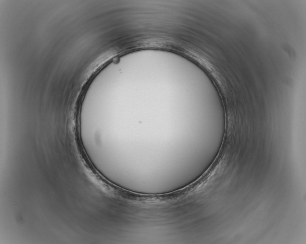 X0000112761042200909101526