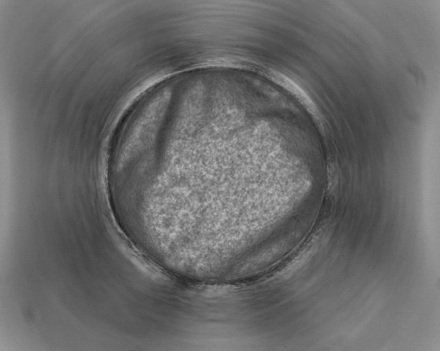 X0000112761043200909101526