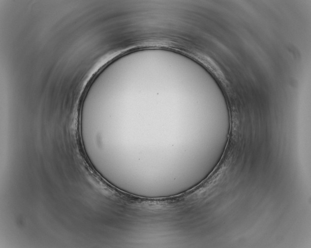 X0000112761044200909101526