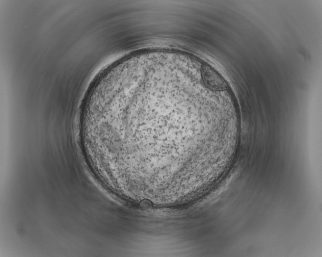 X0000112761045200909101526