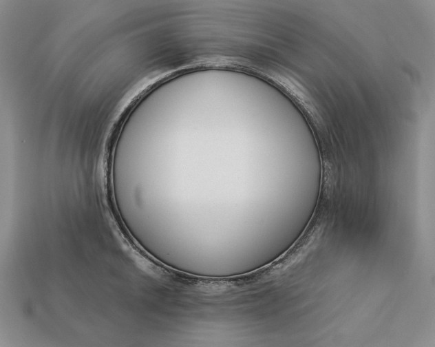 X0000112761046200909101526