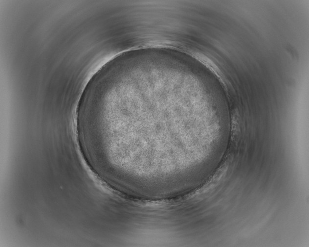 X0000112761047200909101526