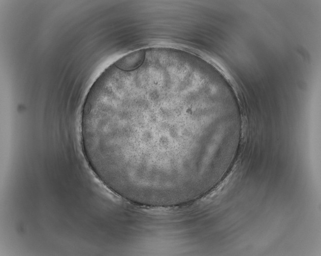 X0000112761048200909101526