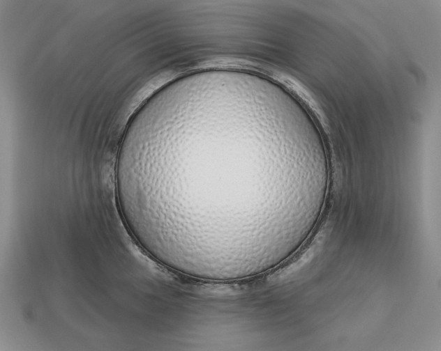 X0000112761049200909101526