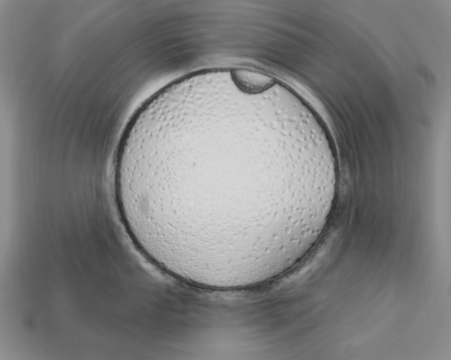 X0000112761053200909101526