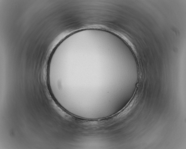 X0000112761054200909101526