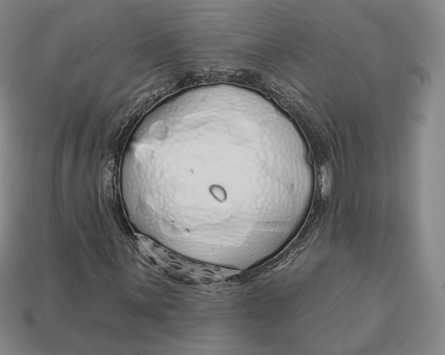 X0000112761059200909101526