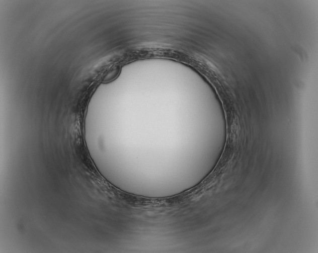 X0000112761062200909101526