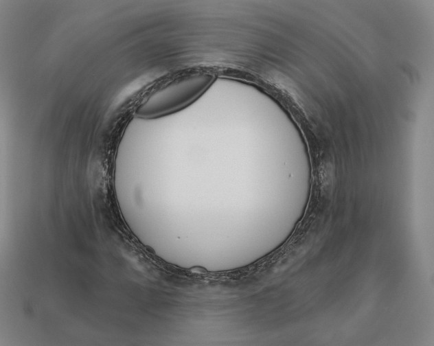 X0000112761064200909101526