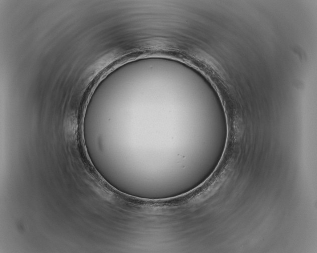 X0000112761065200909101526
