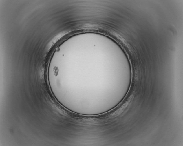X0000112761066200909101525
