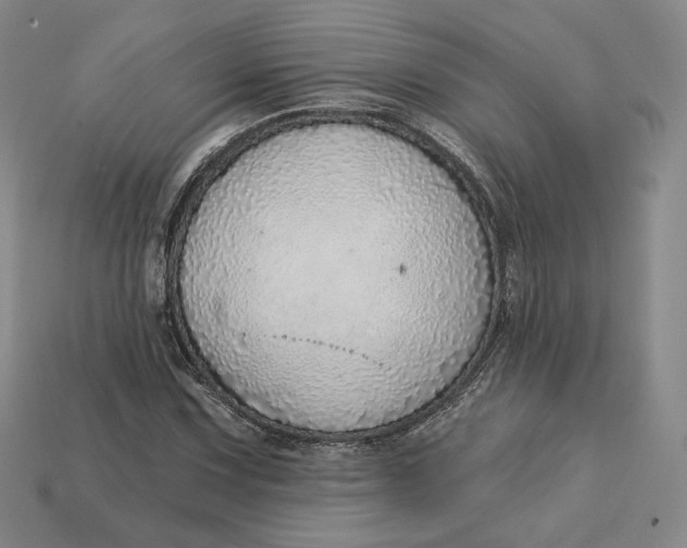 X0000112761067200909101525
